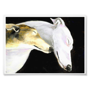 Windhund-Liebe-Hundekunst-Foto-Druck Fotodruck