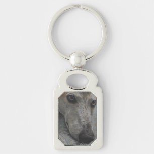 Windhund mustert Schlüsselanhänger
