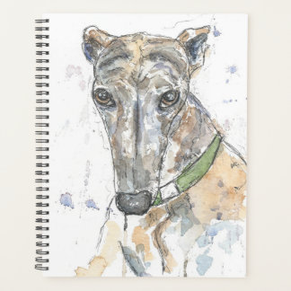 Windhund-Planer Planer