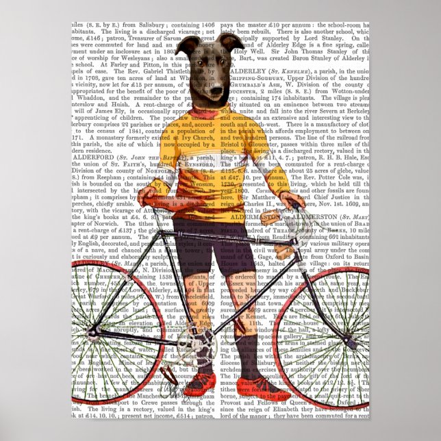 Windhund-Radfahrer Poster (Vorne)