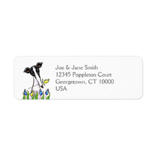 Windhund-Schatz-Weiß