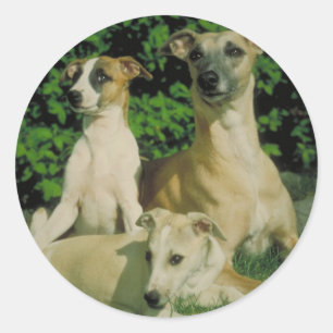 Windhund und Welpen Runder Aufkleber
