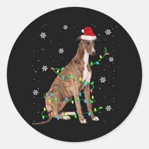 Windhund-Weihnachtslicht niedlicher Santa Windhund Runder Aufkleber