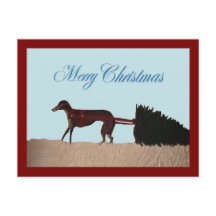 Windhund zieht einen Weihnachtsbaum durch den Schn