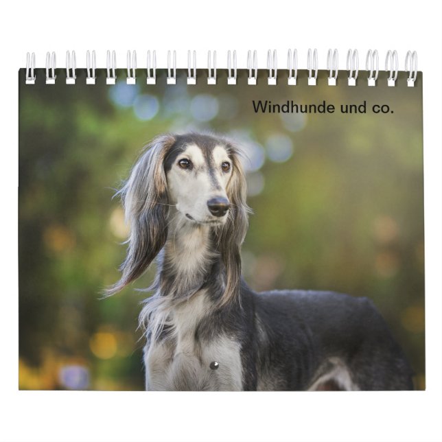 Windhunde Kalender (Titelbild)