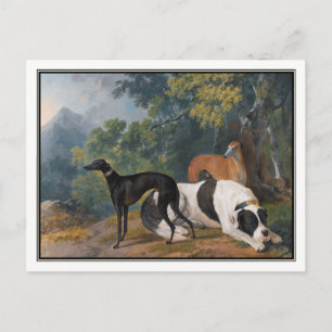 Windhunde und Mastiff von Sawrey Gilpin Postkarte