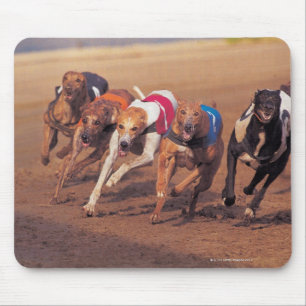 Windhundlaufen auf Bahn Mousepad