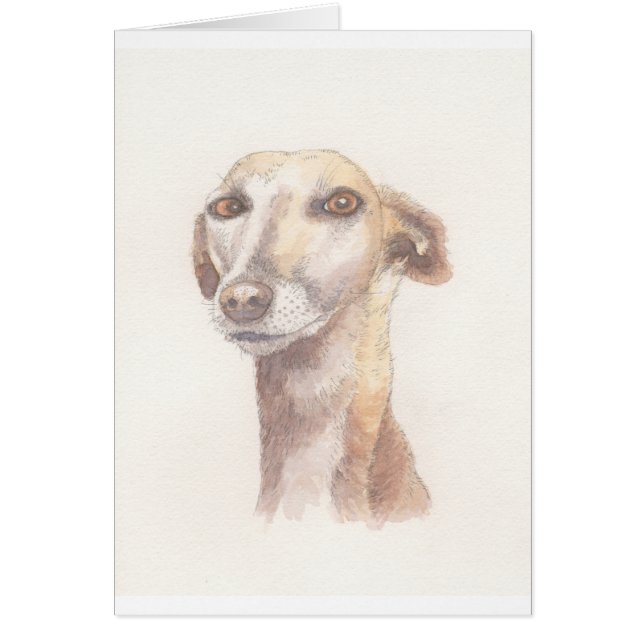 Windhundporträt (Vorne)