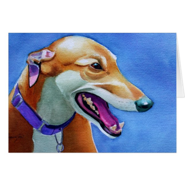 Windhundrettung (Vorderseite (Horizontal))