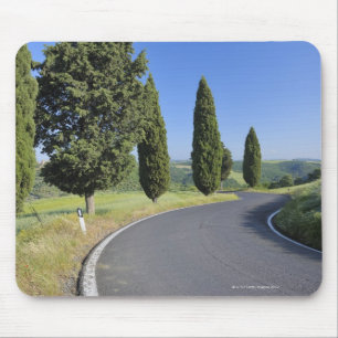 Winding Road, die mit Fahrradbäumen verbunden ist, Mousepad