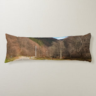Winding Road Through Forest – Wilde Natur Rumänien Seitenschläferkissen