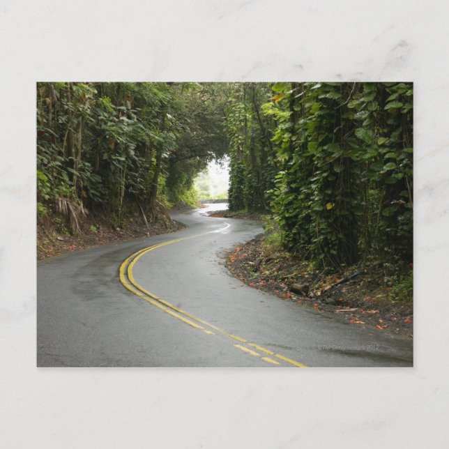 Winding roads through rainforest, Island of Postkarte (Vorderseite)