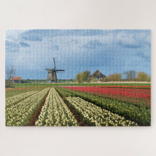 Windmill and tulips landscape in Holland