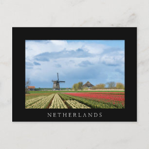 Windmill et tulipe paysage carte postale noire