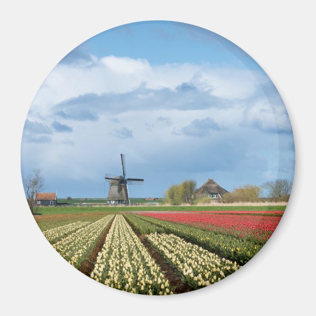 Windmill et tulipes paysage aimant rond (Devant)