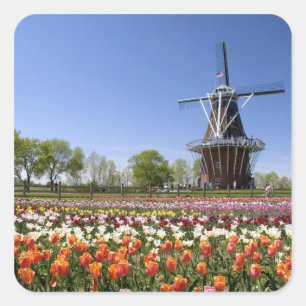 Windmill Island Park mit blühenden Tulpen bei Quadratischer Aufkleber