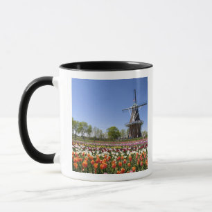 Windmill Island Park mit blühenden Tulpen bei Tasse