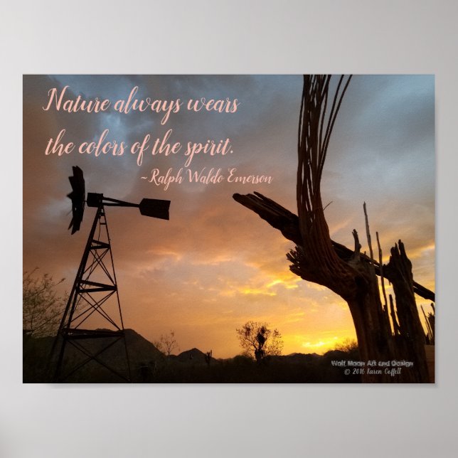 Windmill Saguaro Cactus Skeleton Arizona Sunset Poster (Vorne)