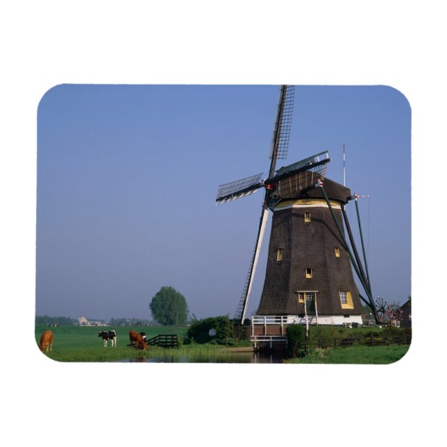 Windmills, Leidschendam, Niederlande Magnet (Horizontal)