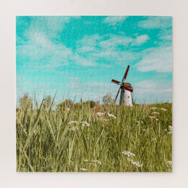 Windmühle im Gras (Vertikal)