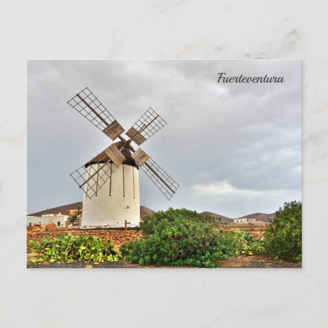 Windmühle in Fürteventura. Postkarte (Vorderseite)