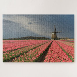 Windmühle mit rosa Tulpen im Frühjahr