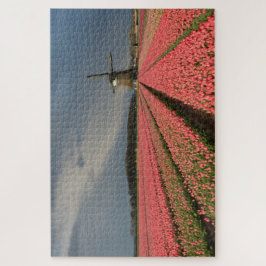 Windmühle mit rosa Tulpen im Frühjahr