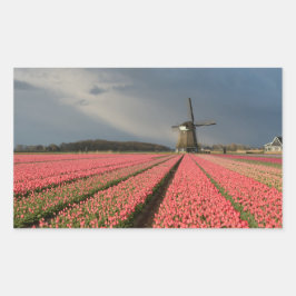Windmühle mit rosa Tulpen im Frühjahr Rechteckiger Aufkleber