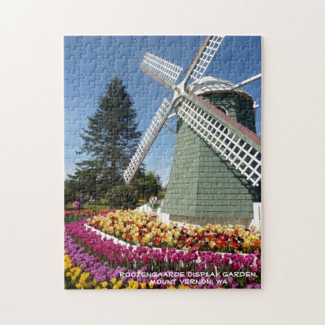 Windmühle u. Tulpen (Skagit Tal) (Vertikal)