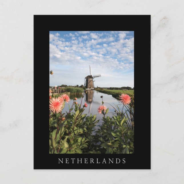Windmühle und Blume, Holländische Vertikalkarte Postkarte (Vorderseite)
