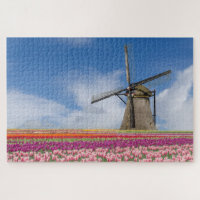 Windmühle und farbenfrohe Tulips Amsterdam Niederl