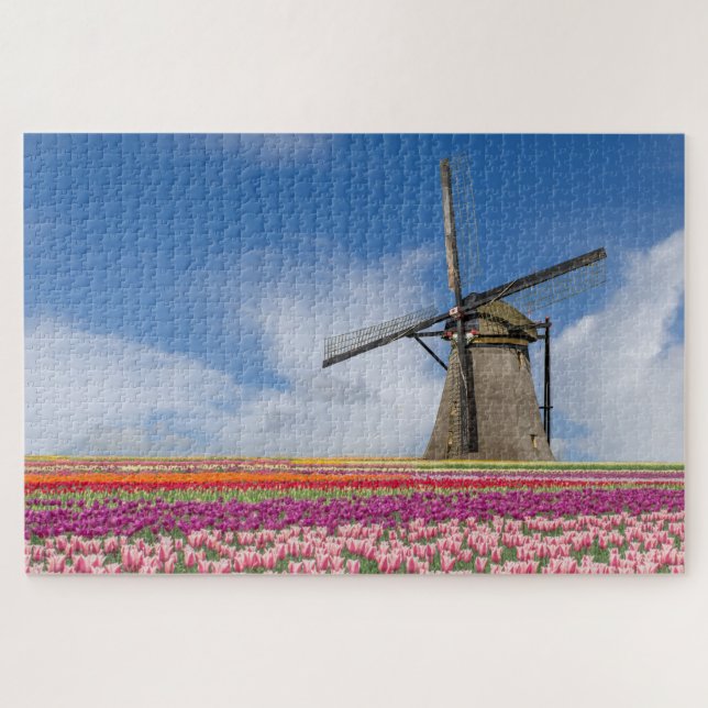 Windmühle und farbenfrohe Tulips Amsterdam Niederl (Horizontal)