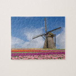 Windmühle und farbenfrohe Tulips Amsterdam Niederl