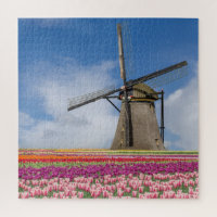 Windmühle und farbenfrohe Tulips Amsterdam Niederl