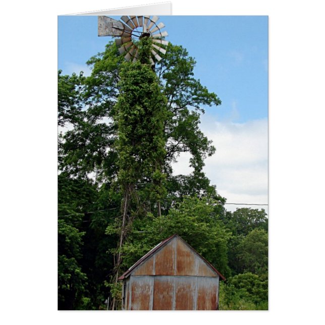 Windmühle und Splitter (Vorne)