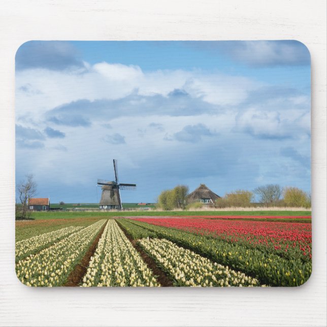 Windmühle und Tulpelandschaftmousepad Mousepad (Vorne)