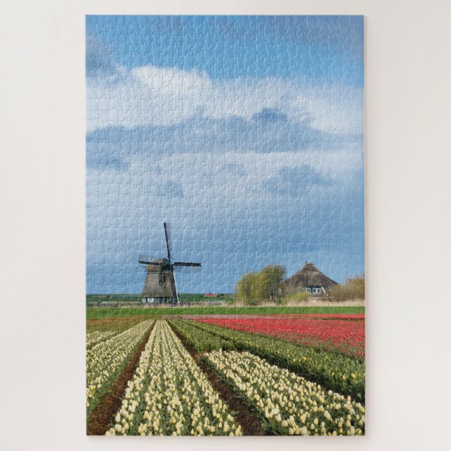 Windmühle und Tulpen in vertikaler Frühjahrslandsc (Vertikal)