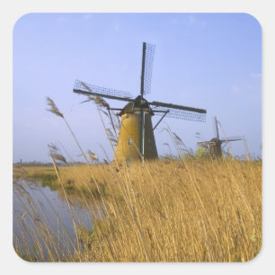Windmühlen am Kanal in Kinderdijk, 2 Quadratischer Aufkleber