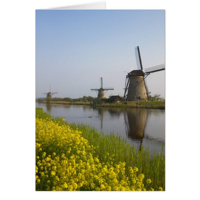 Windmühlen entlang des Kanals in Kinderdijk, (Vorne)