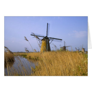 Windmühlen entlang des Kanals in Kinderdijk, 2