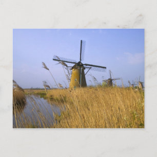 Windmühlen entlang des Kanals in Kinderdijk, 2 Postkarte
