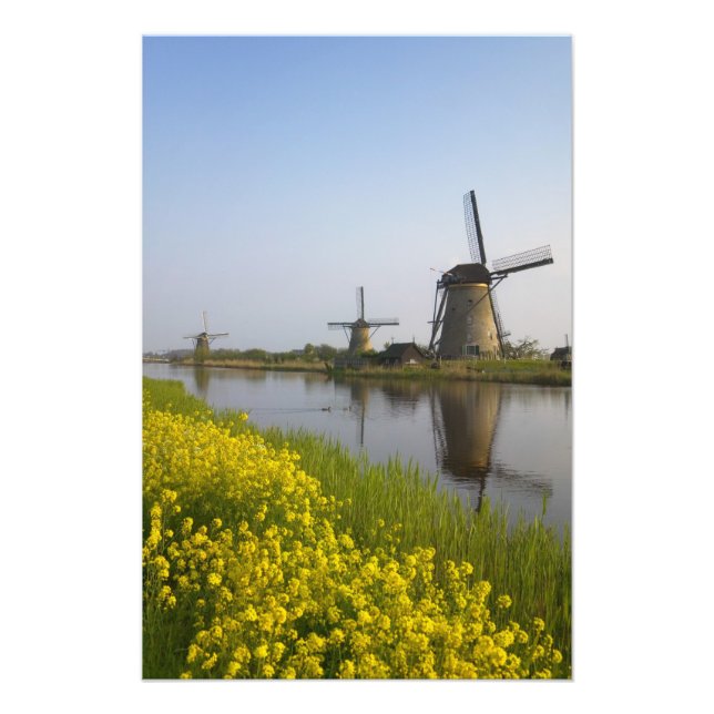 Windmühlen entlang des Kanals in Kinderdijk, Fotodruck (Vorne)