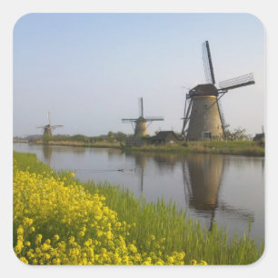 Windmühlen entlang des Kanals in Kinderdijk, Quadratischer Aufkleber