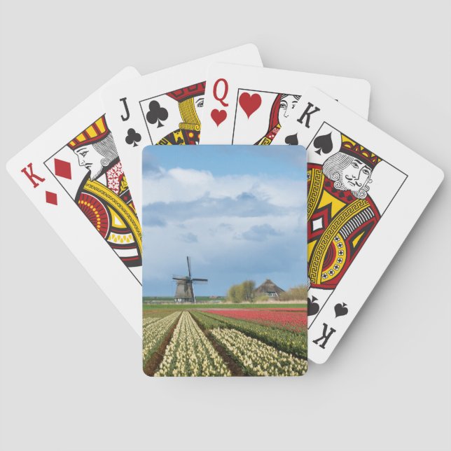 Windmühlen- und TulpelandschaftsPokerplattform Spielkarten (Rückseite)