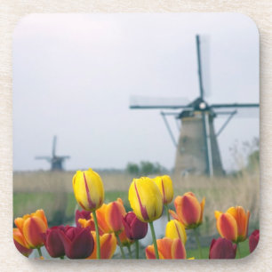 Windmühlen und Tulpen am Kanal in Getränkeuntersetzer