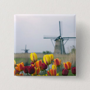 Windmühlen und Tulpen entlang des Kanals in Button