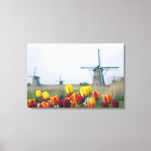 Windmühlen und Tulpen entlang des Kanals in Leinwanddruck