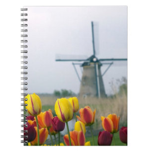 Windmühlen und Tulpen entlang des Kanals in Notizblock