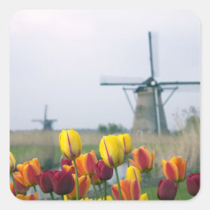 Windmühlen und Tulpen entlang des Kanals in Quadratischer Aufkleber
