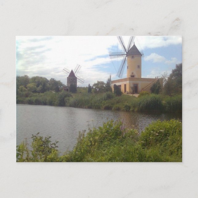 Windmühlenmuseum Gifhorn Postkarte (Vorderseite)